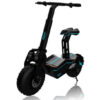 Cecotec 07023 Electric Scooter